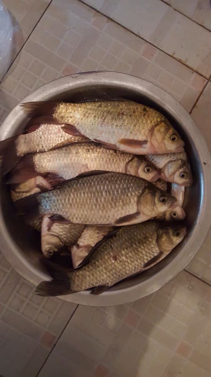 朝天钩选多大号合适,朝天钩最大能用几号钩