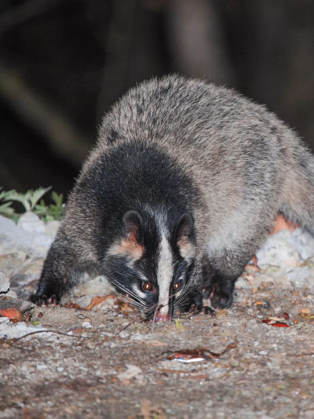 鍋囧鐥呮瘨鎰熸煋浜嗕綘,鍋囧鐥呮瘨鎰熸煋浜嗘垜