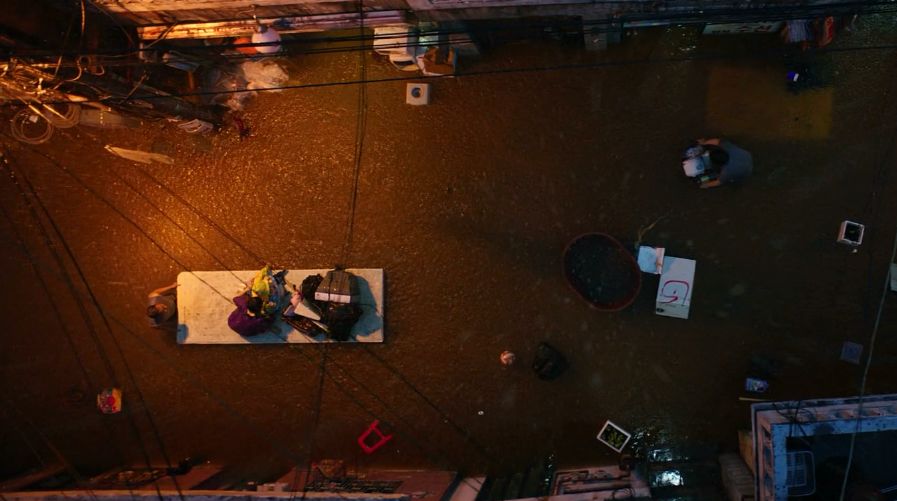 引进可以，跪求少删减…