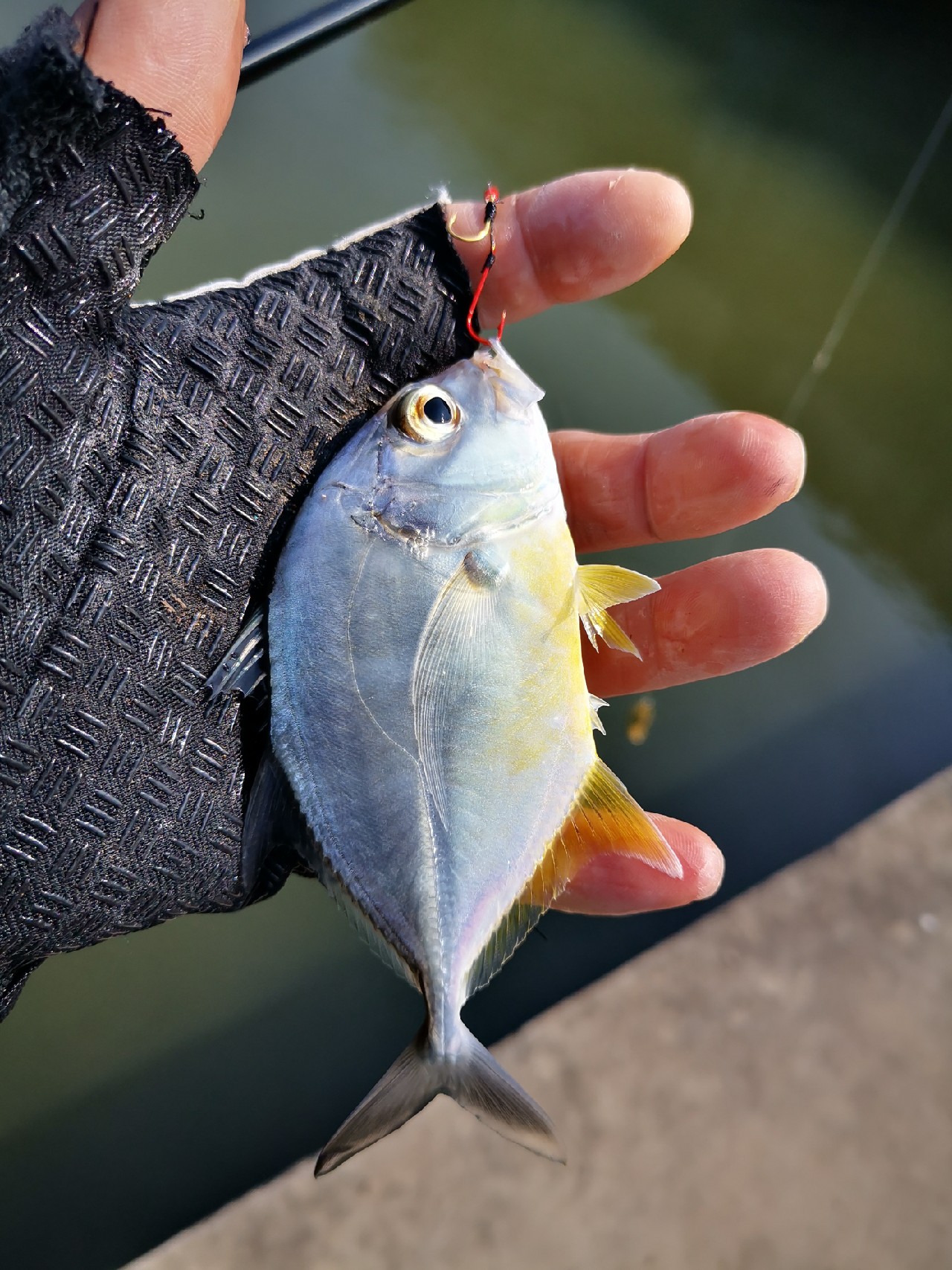 路亚一步到位还是循序渐进好,摸索反思