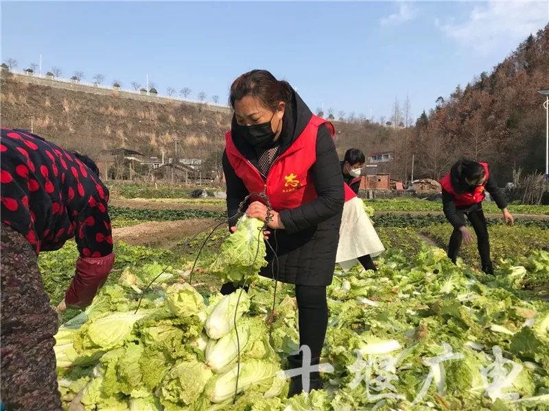 打赢这场仗就回去和你结婚完整版,打赢这场仗就回去和你结婚图片
