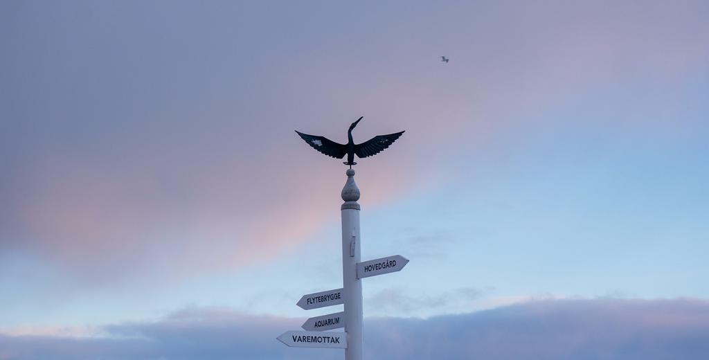 罗弗敦群岛一日游攻略,罗弗敦群岛旅行