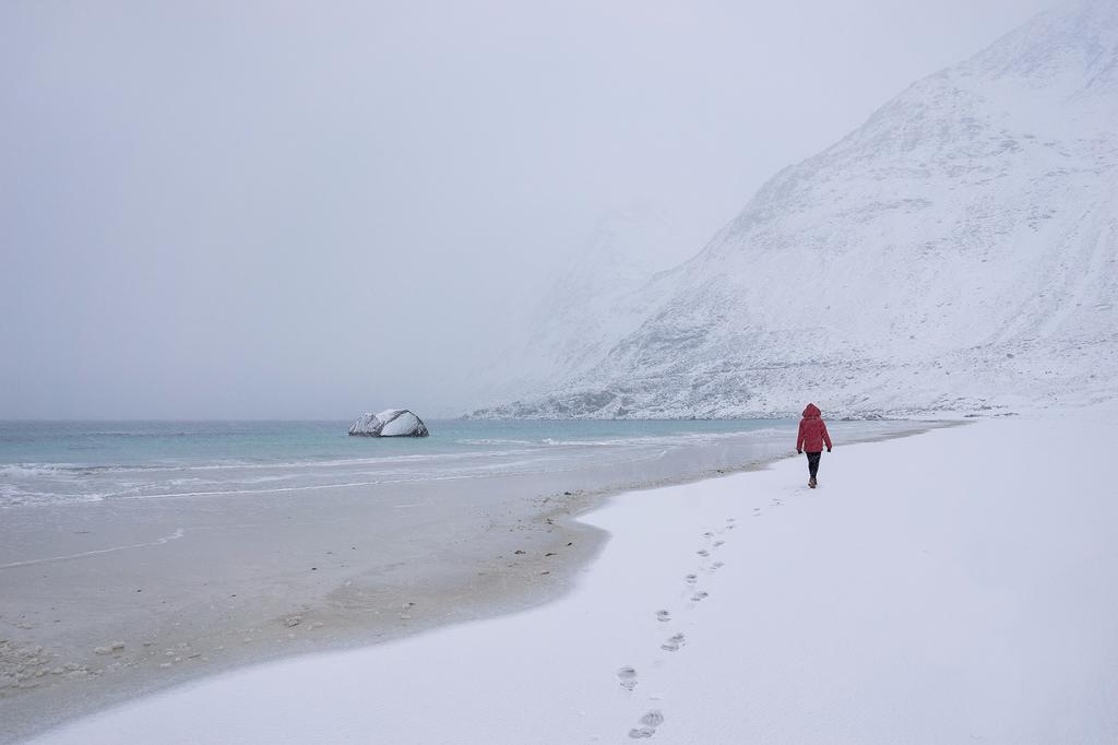 罗弗敦群岛一日游攻略,罗弗敦群岛旅行