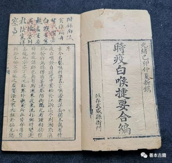 中医治疗瘟疫的药方,历史上治瘟疫的中药名方