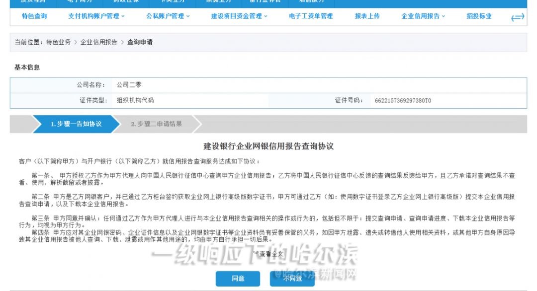 企业信用报告线上能查询打印吗,企业网上查询个人征信