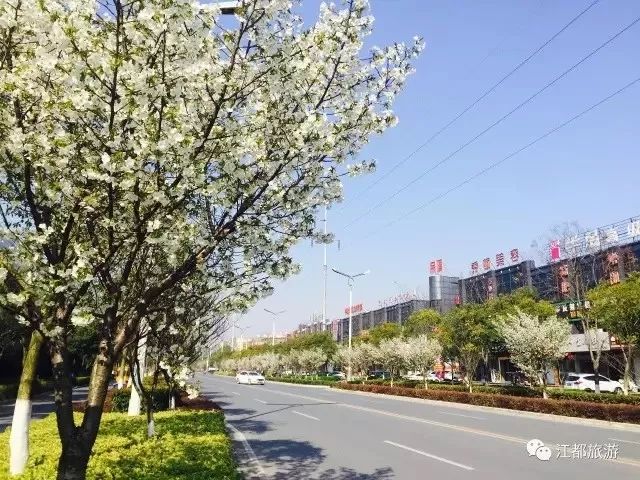 多希望睡醒一觉,多希望睡醒以后有惊喜