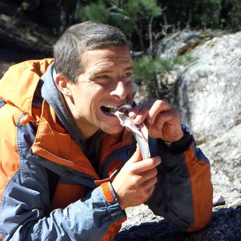 贝尔格里尔斯世界纪录,贝尔格里尔斯为什么这么强