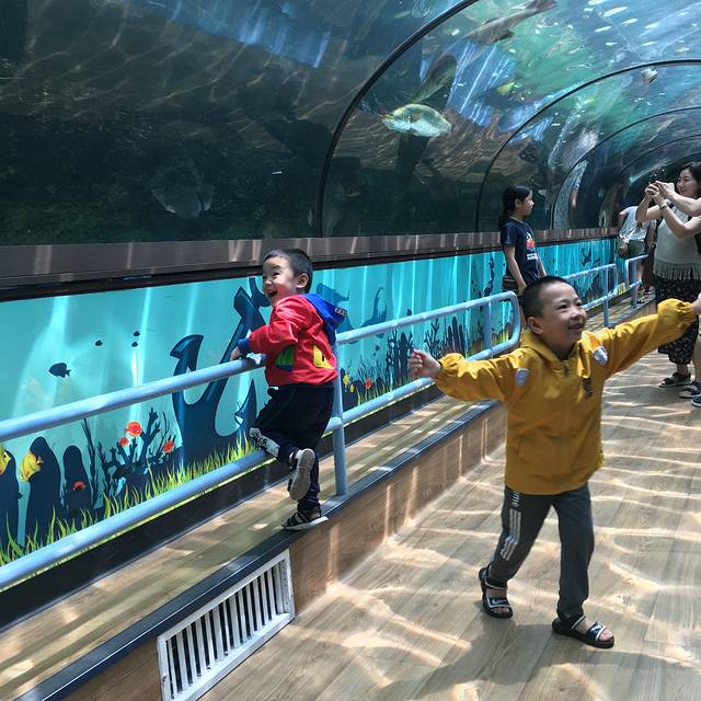 澳大利亚大洋路两日游,自由行墨尔本及悉尼