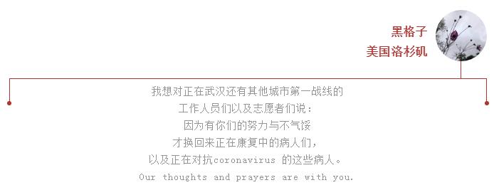 感动！全球100位网友共同发声！To武汉的心愿你听到了吗