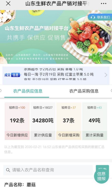 「便民生活」担心果蔬烂在地里？看这儿——山东搭建生鲜农产品产销对接平台