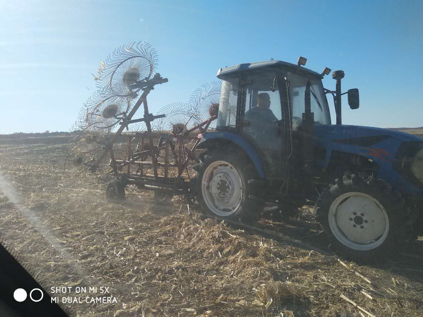 鎵樼浠ｈ喘,鎵樼鍦熷湴绉嶈彍