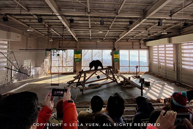 日本购买新冠口罩,去日本买口罩的便宜吗