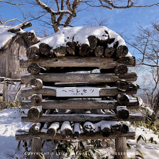 日本购买新冠口罩,去日本买口罩的便宜吗