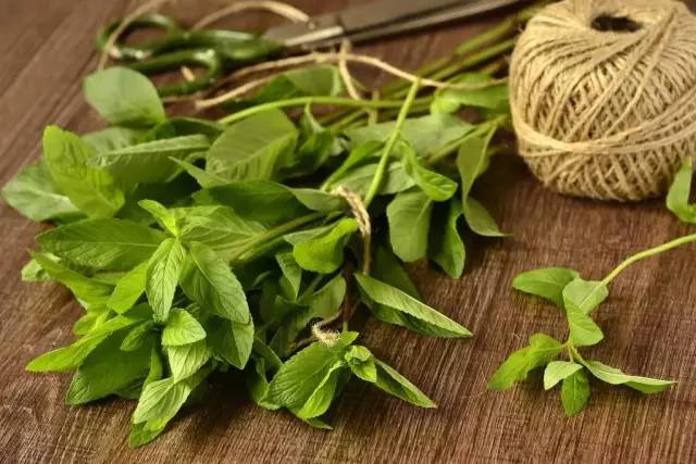 呼噜娃完整视频,呼噜娃原版视频