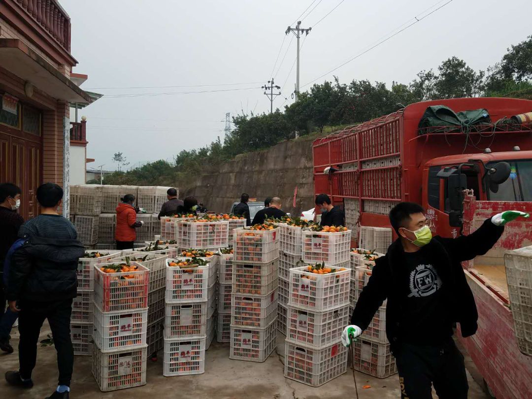 开州区抗疫,开州区抗疫照片