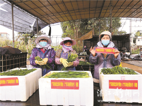 爱心蔬菜驰援禹州,湛江爱心菜