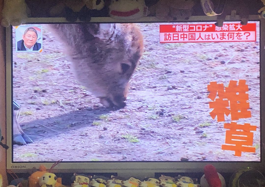 如果没有中国游客,世界该有多无聊