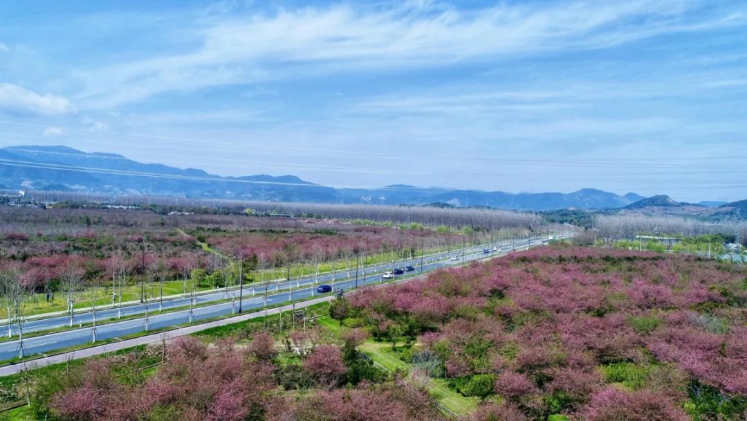 春节民宿促销活动,莫干民宿团购