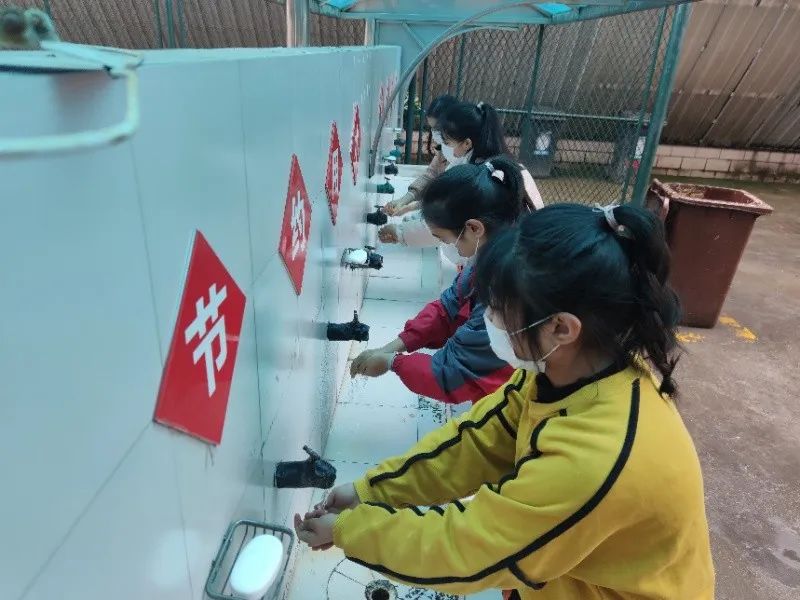 崇明有几个小学,崇明小学有多少学生