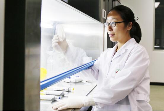 脐带血nk细胞回输安全吗,脐带血干细胞可以治疗艾滋病吗