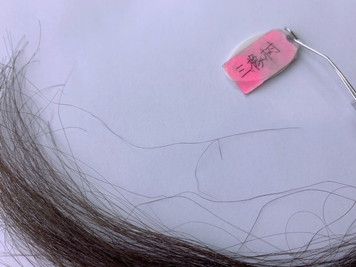 美源植物染发霜,韩金靓植物染发霜