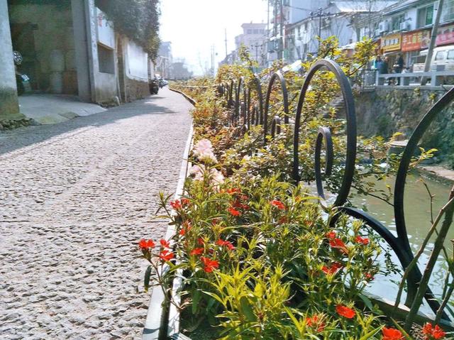 云和有什么特色地点,云和县城里的古街