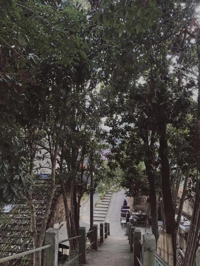 云和有什么特色地点,云和县城里的古街