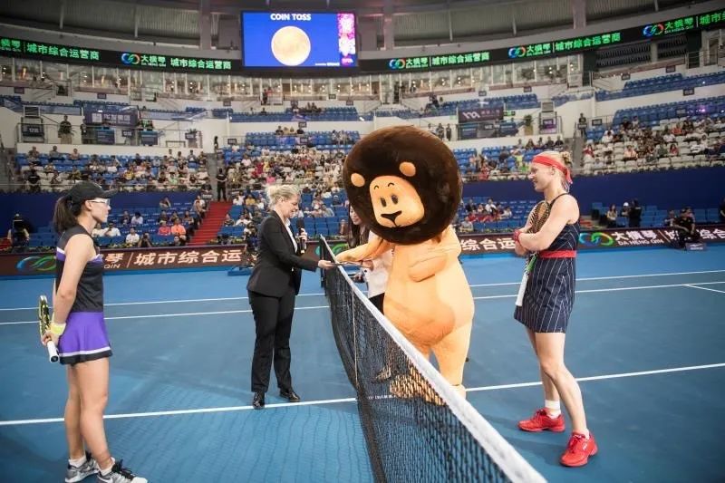 网球百科简介,网球百科