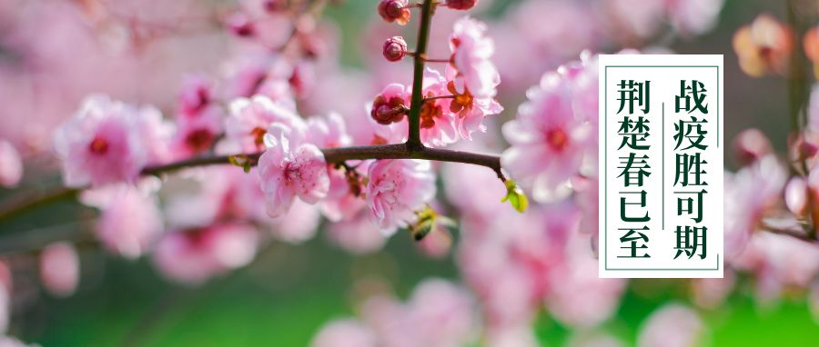 关注教师资格证报名时间,教师资格认定推迟上岗再考证