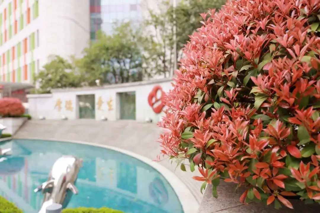 南京医院恢复通知最新,南京门诊部全面停诊的通知