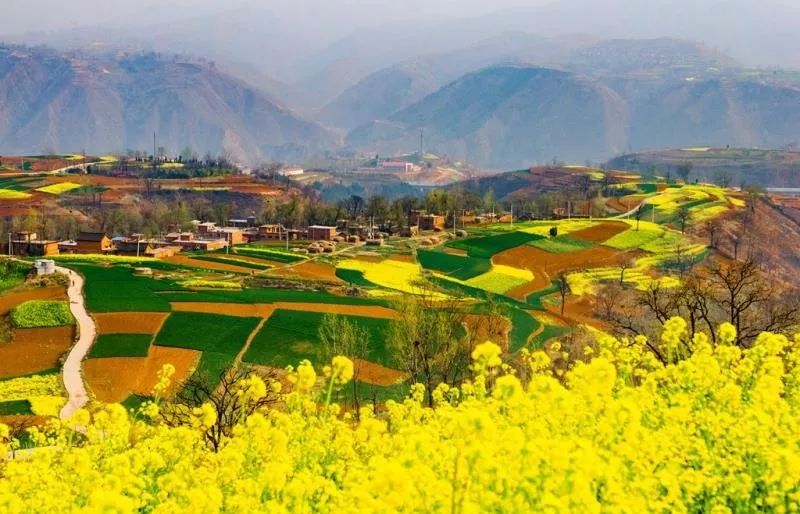 10首春天的诗带你游览大好春光,春天适合踏青的诗句