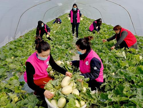 又是一年春来早家乡景色,又是一年春来早万物逢春在今朝