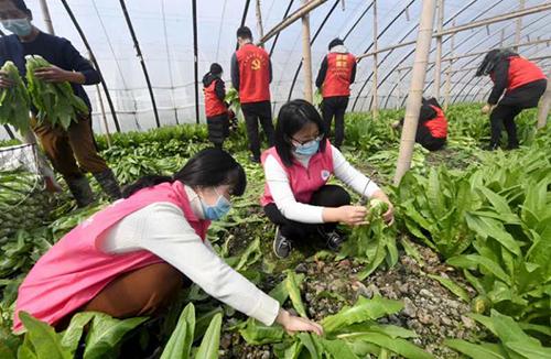 又是一年春来早家乡景色,又是一年春来早万物逢春在今朝