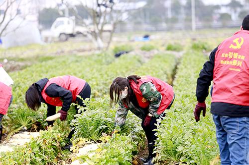 又是一年春来早家乡景色,又是一年春来早万物逢春在今朝