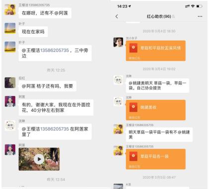 又是一年春来早家乡景色,又是一年春来早万物逢春在今朝