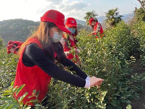 又是一年春来早家乡景色,又是一年春来早万物逢春在今朝