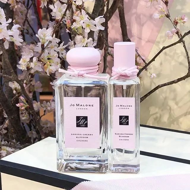 叙好物|宅家“云”赏樱，这些樱花季限定都是些什么神仙小可爱呀