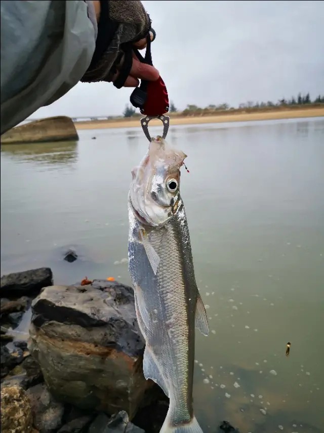 路亚一步到位还是循序渐进好,摸索反思