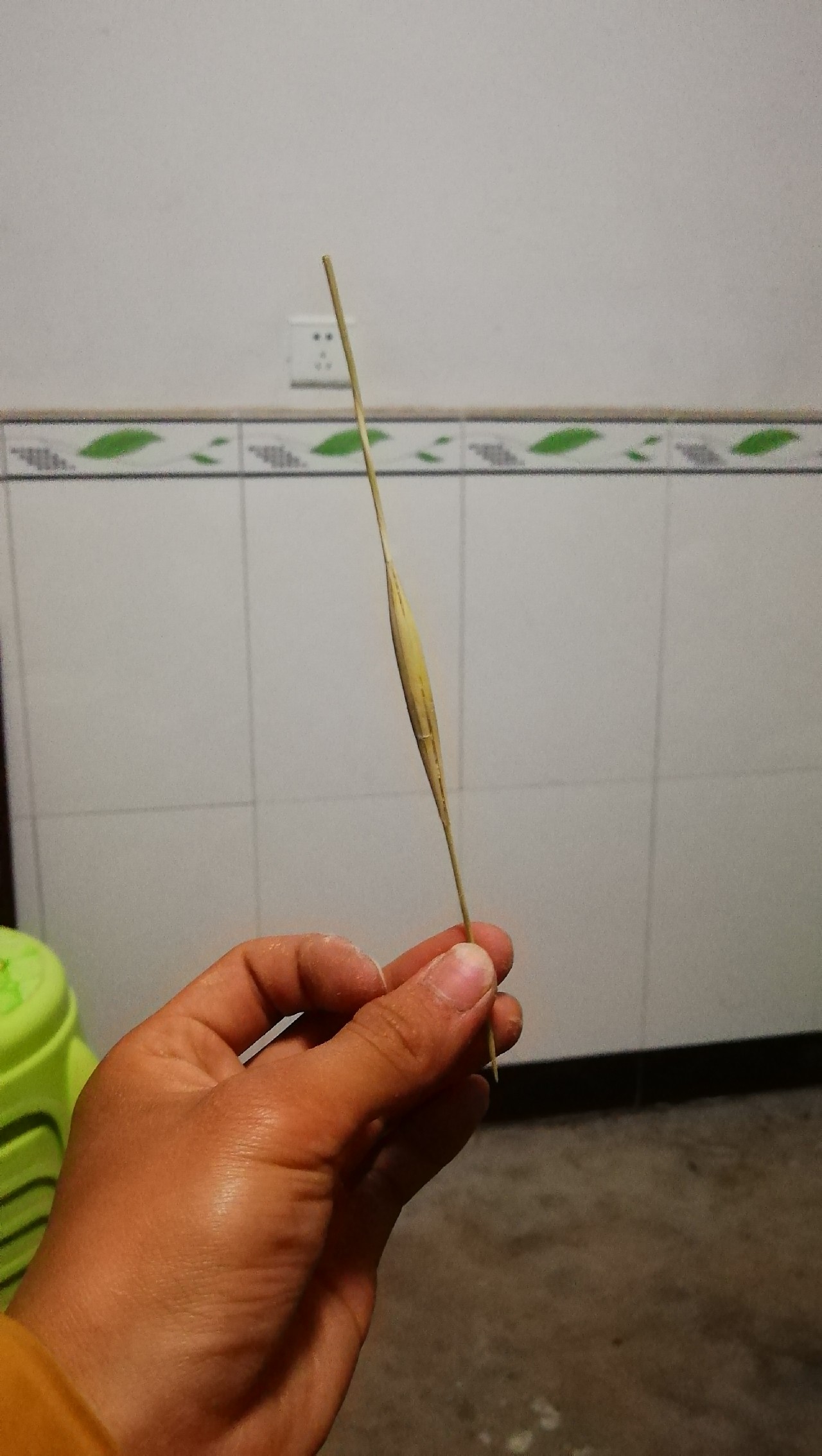 新手鱼漂教程,新手鱼漂如何使用教程