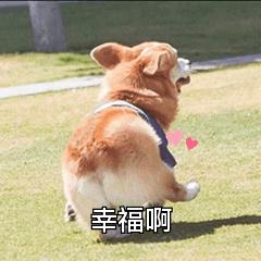 52岁得子，命都不要了？