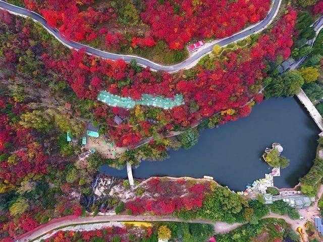 山东景区免费开放名单最新最全,山东景区门票免费政策最新