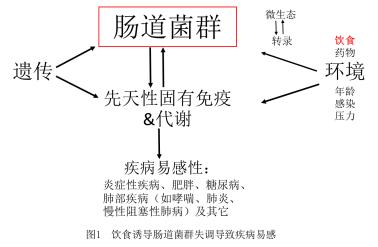 呼吸道感染痊愈后建议吃什么,治疗呼吸道感染的小妙招
