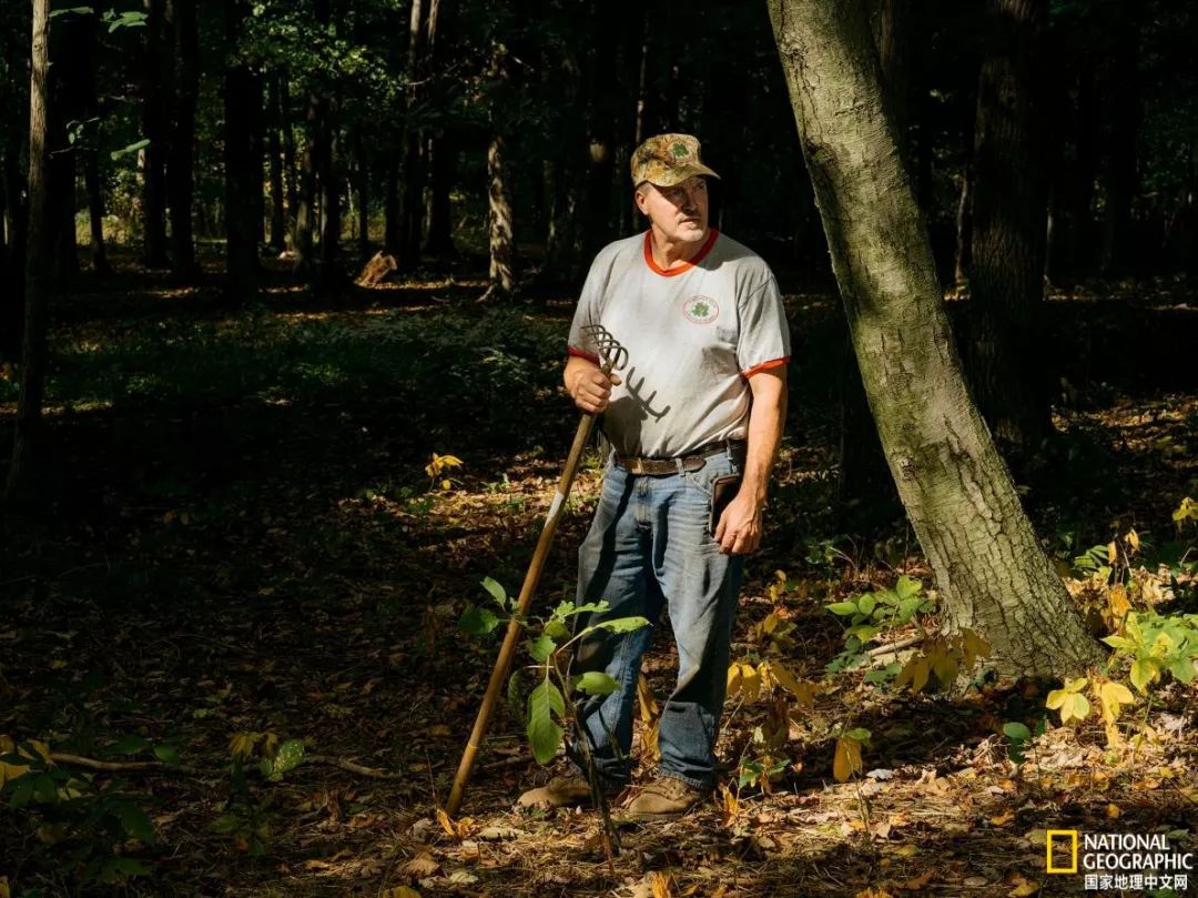 南北大战人参,人参对决