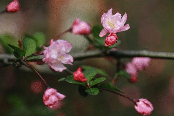 太棒啦！乘地铁即可直达“欧洲多国”！这些不为人知的地方已达颜值巅峰