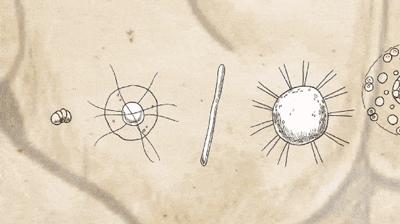 私底下有异味怎么办,十几岁就有异味正常吗