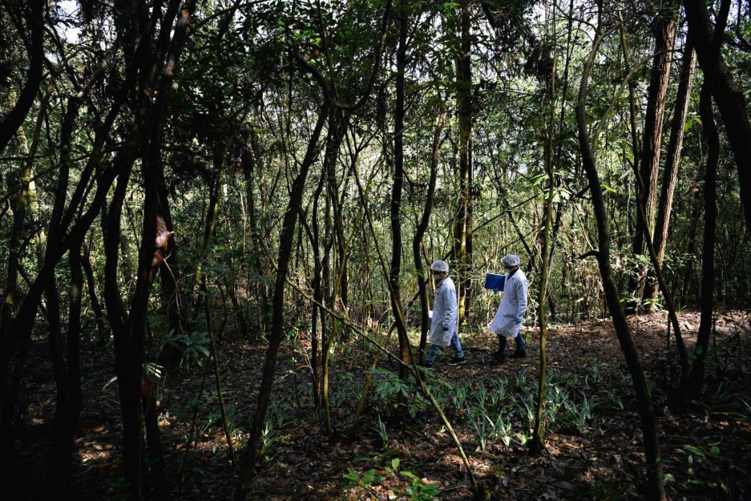 战疫期间的英雄,战疫里的人物