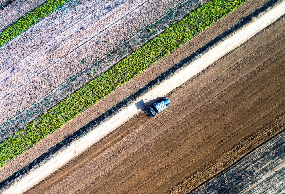 风雨无阻疫情防控不松懈,坚持不懈坚决打赢疫情防控阻击战