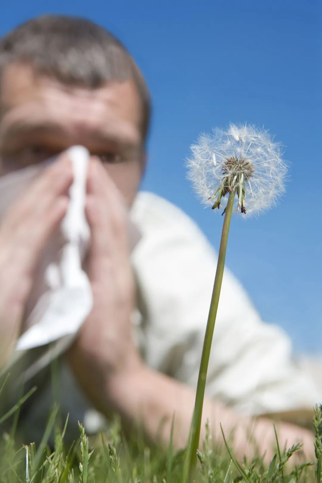 鼻炎用药开始抢占维C、酒精、消毒液的风头——过敏季又到了，这样对付你的鼻炎