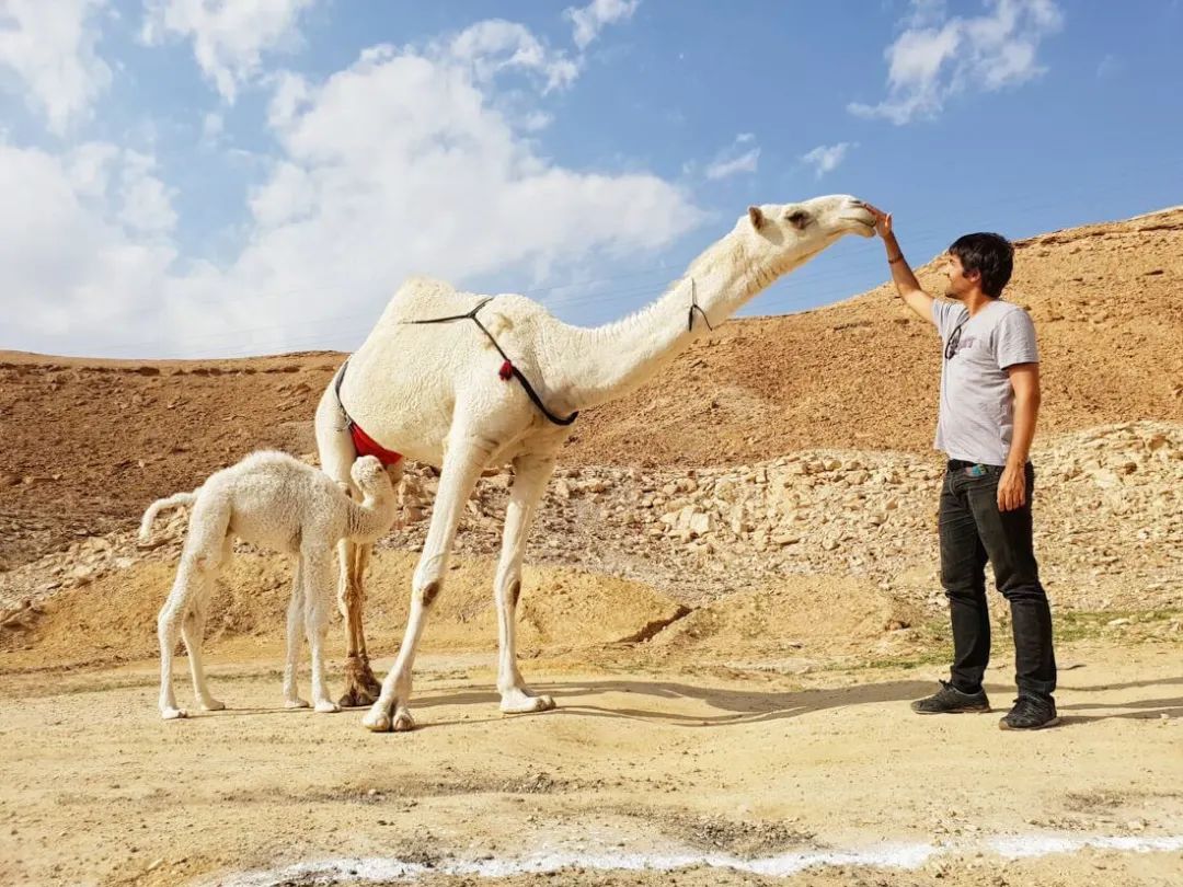 各个省份头部网红,旅游全球的网红有哪些