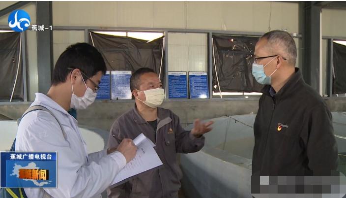 春季大黄鱼病害问题如何防治？别急，省农科院专家为您支招